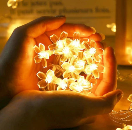 PACHET PROMOTIONAL - 2 + 1 GRATIS !!! Instalatie Solara de Gradina Flori de Cires 5m cu 50 LED-uri, Alb cald